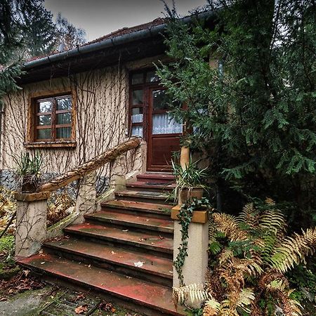 Boroka Apartmanhazak - Oereghaz Velem Bilik gambar