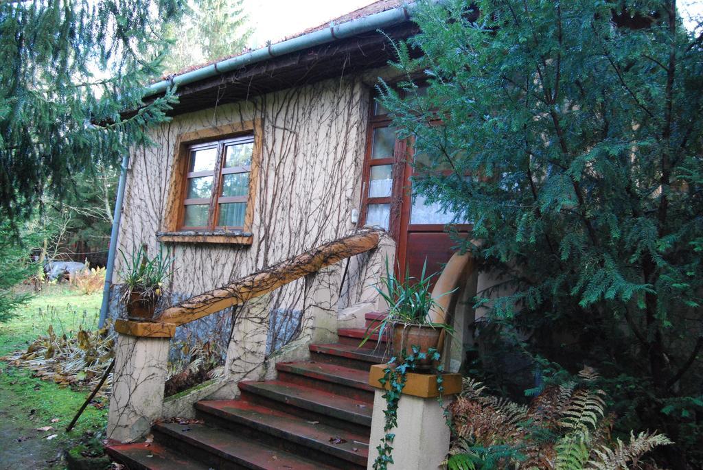 Boroka Apartmanhazak - Oereghaz Velem Bilik gambar