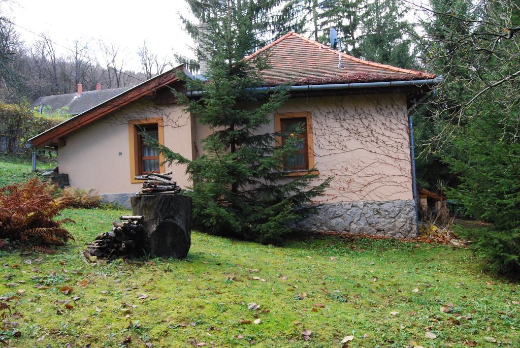 Boroka Apartmanhazak - Oereghaz Velem Bilik gambar